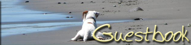 Caudlewood Kennels - Breeders of Purebred Parson Russell Terriers