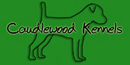 Caudlewood Kennels - Breeders of Purebred Parson Russell Terriers